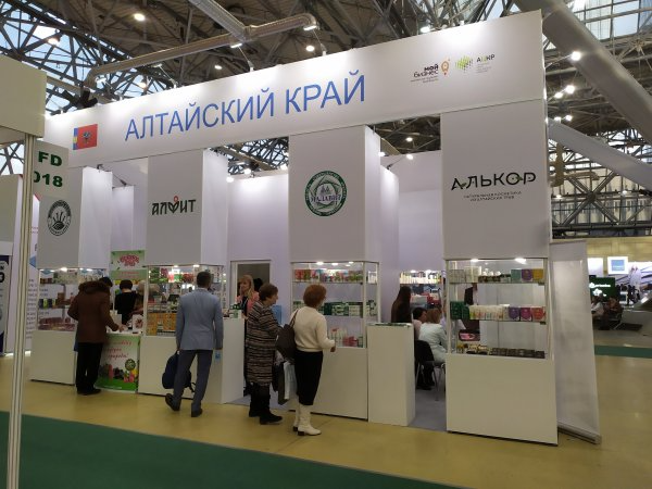 Без названия (1).png